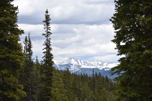 Scenic view of snowy peaks and alpine forest in Colorado's Rocky Mountains.
