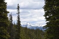 Mountain forest landscape