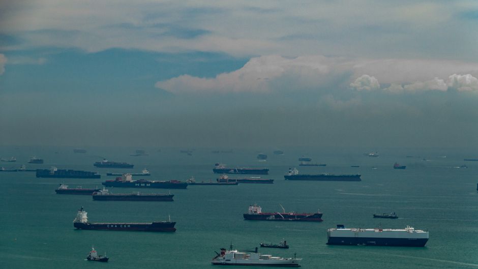 Export Permit Singapore Bali