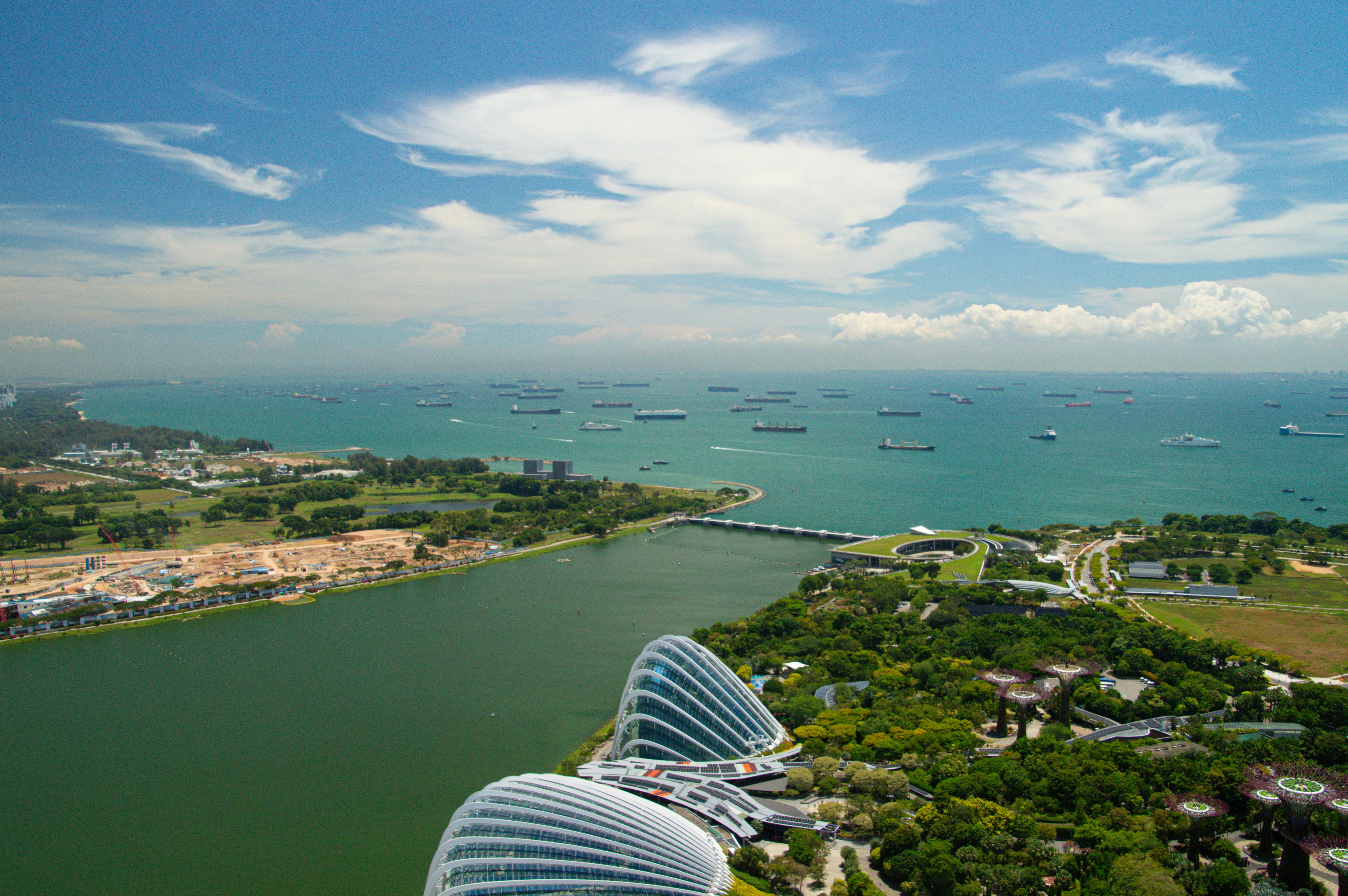 財經：海洋公園去年虧損2.75億 但經營盈餘與入場人次雙增