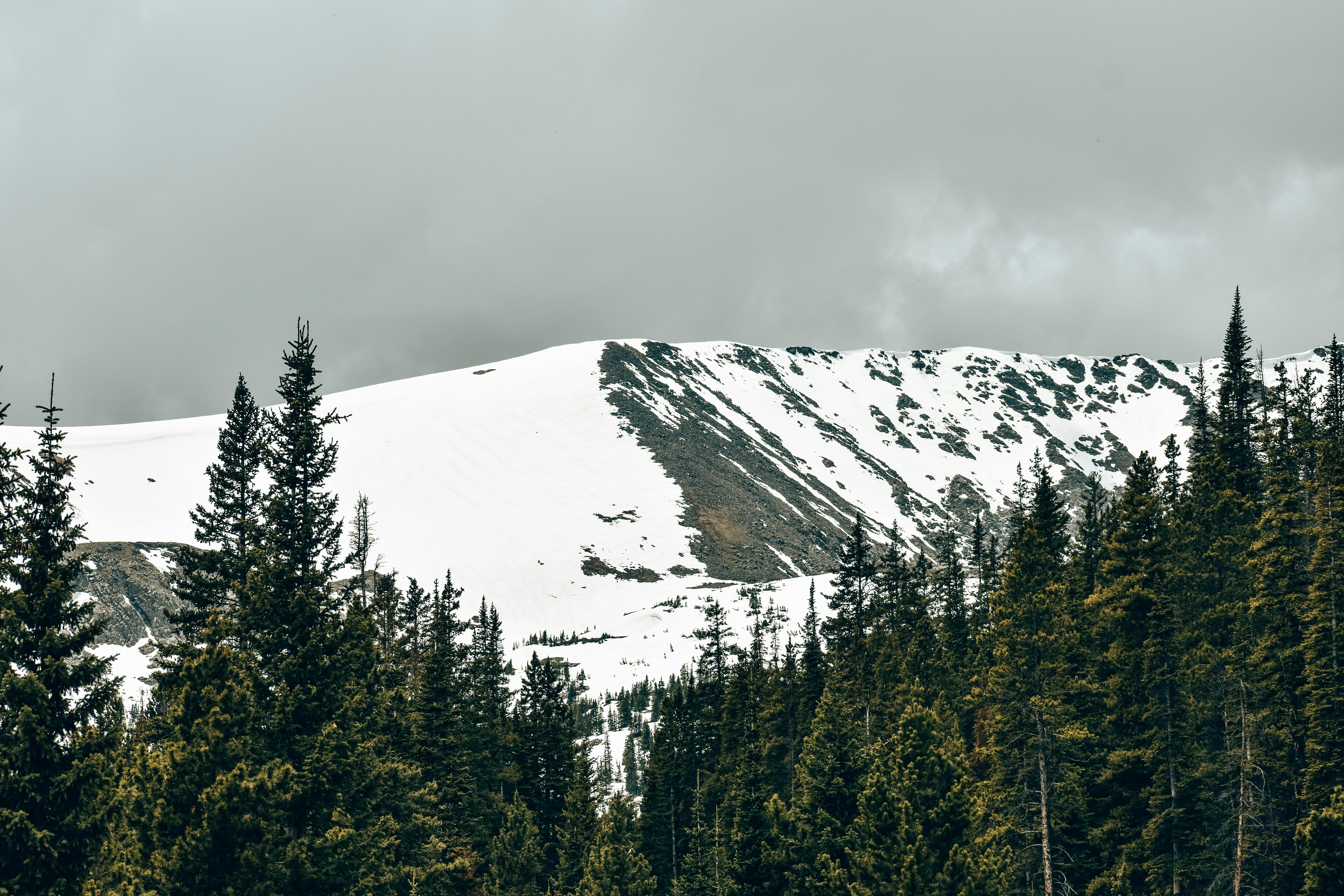 Colorado Supreme Court narrows consumer protection law for insurance claims — Photo by fish socks on Pexels