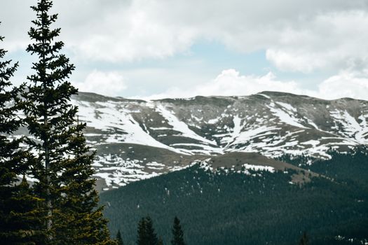 Majestic view of snow-dappled mountains and evergreens in Colorado's wilderness.