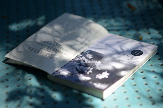 An open book on a dotted surface with artistic shadows cast by sunlight.