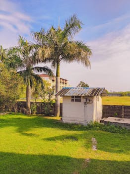 Peaceful backyard scene with palm trees, a small shed, and lush greenery under a clear sky.