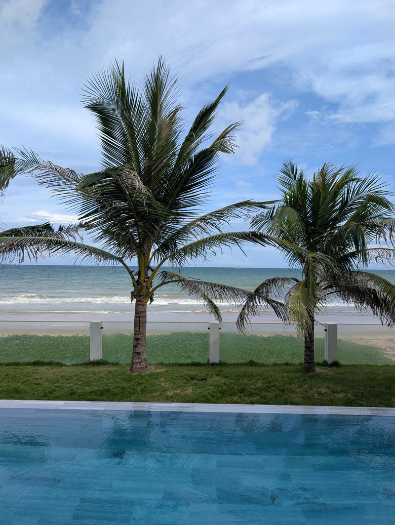 Pool with palm trees beside the beach