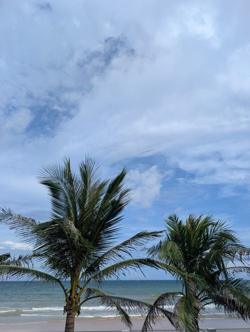 Free Serene tropical beach with palm trees and gentle ocean waves under a blue sky. Stock Photo