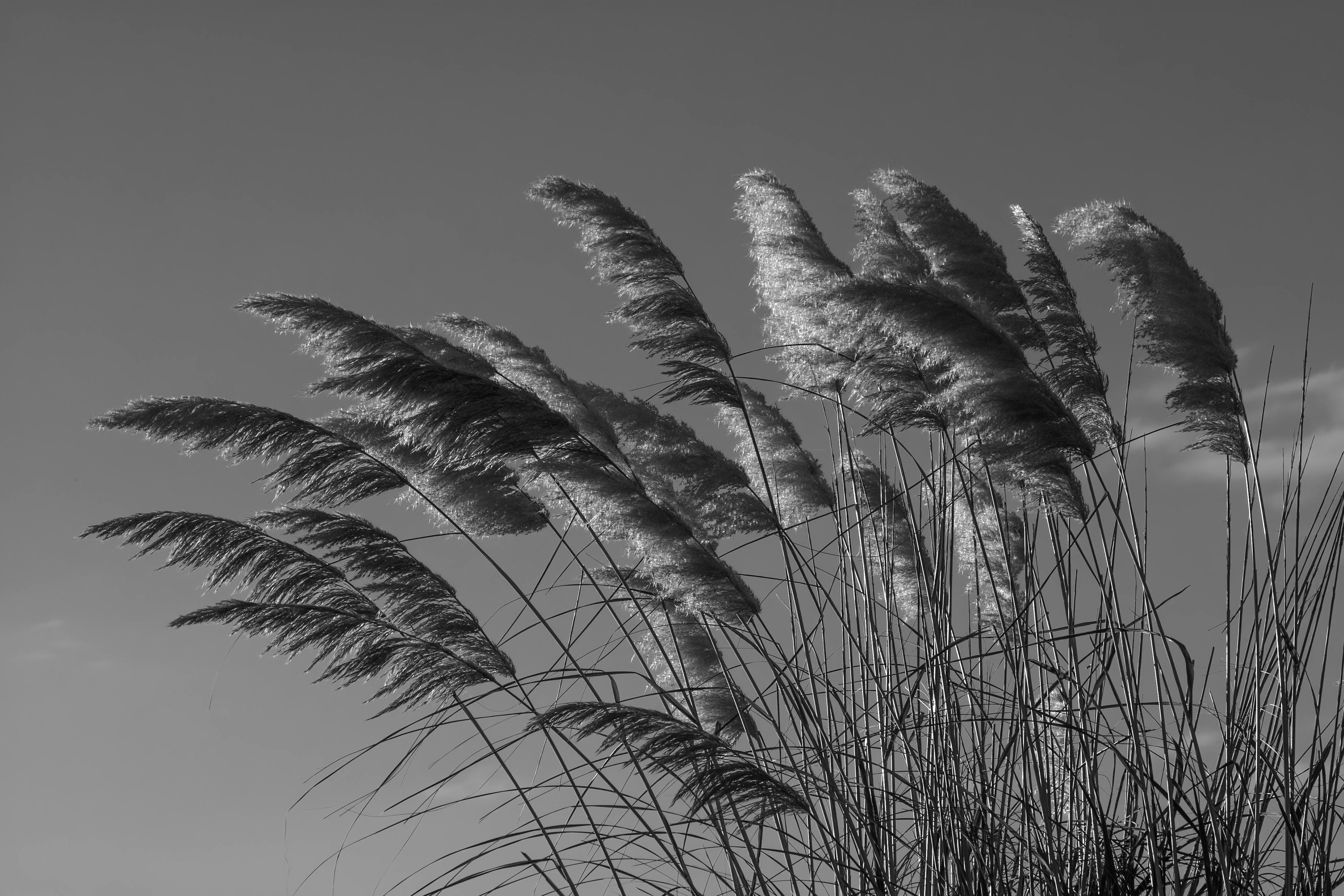 全球離岸風電三大利空夾擊 掀政治經濟風暴