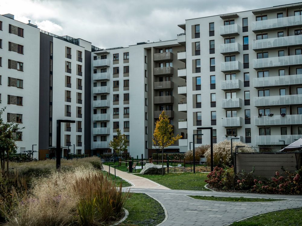 Aménagement extérieur Terra Jardin