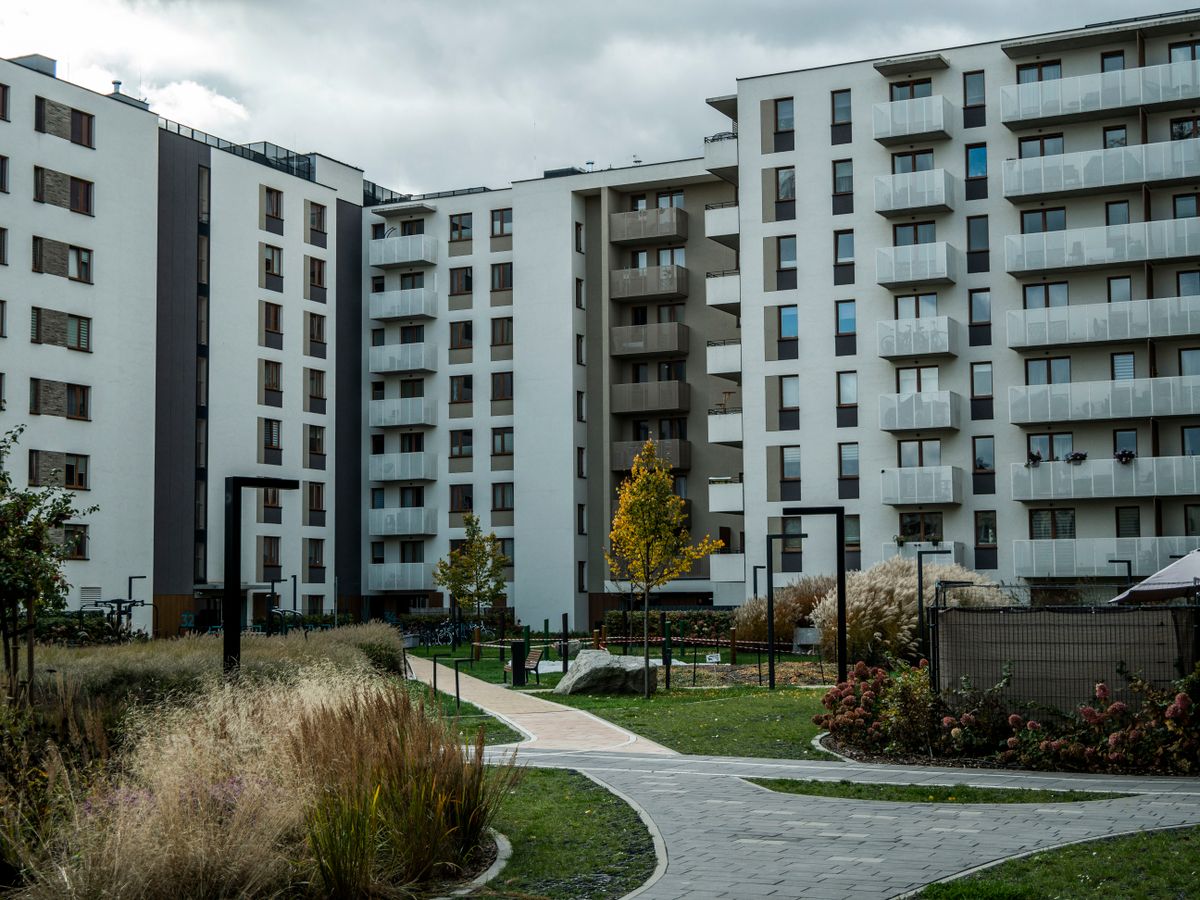 Terrasse et aménagement paysager