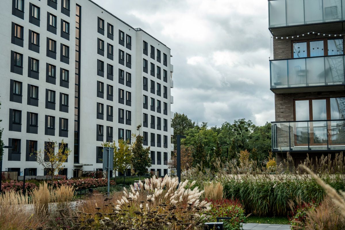 Commission d'attribution de logement social : rôle - Comment optimiser son dossier avant la commission d’attribution ?