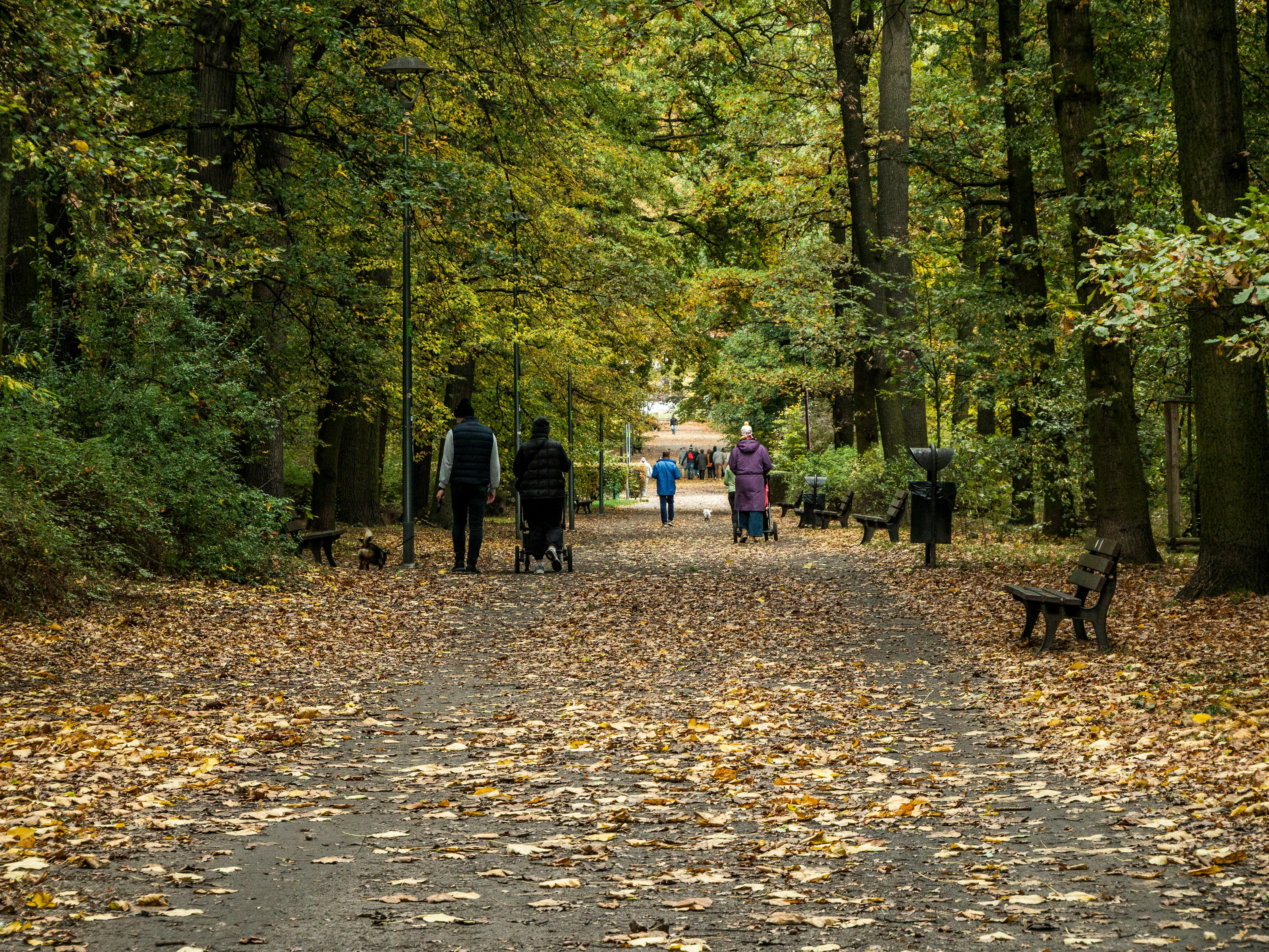 生活：認識他的兒子與女兒：好萊塢明星家庭揭秘