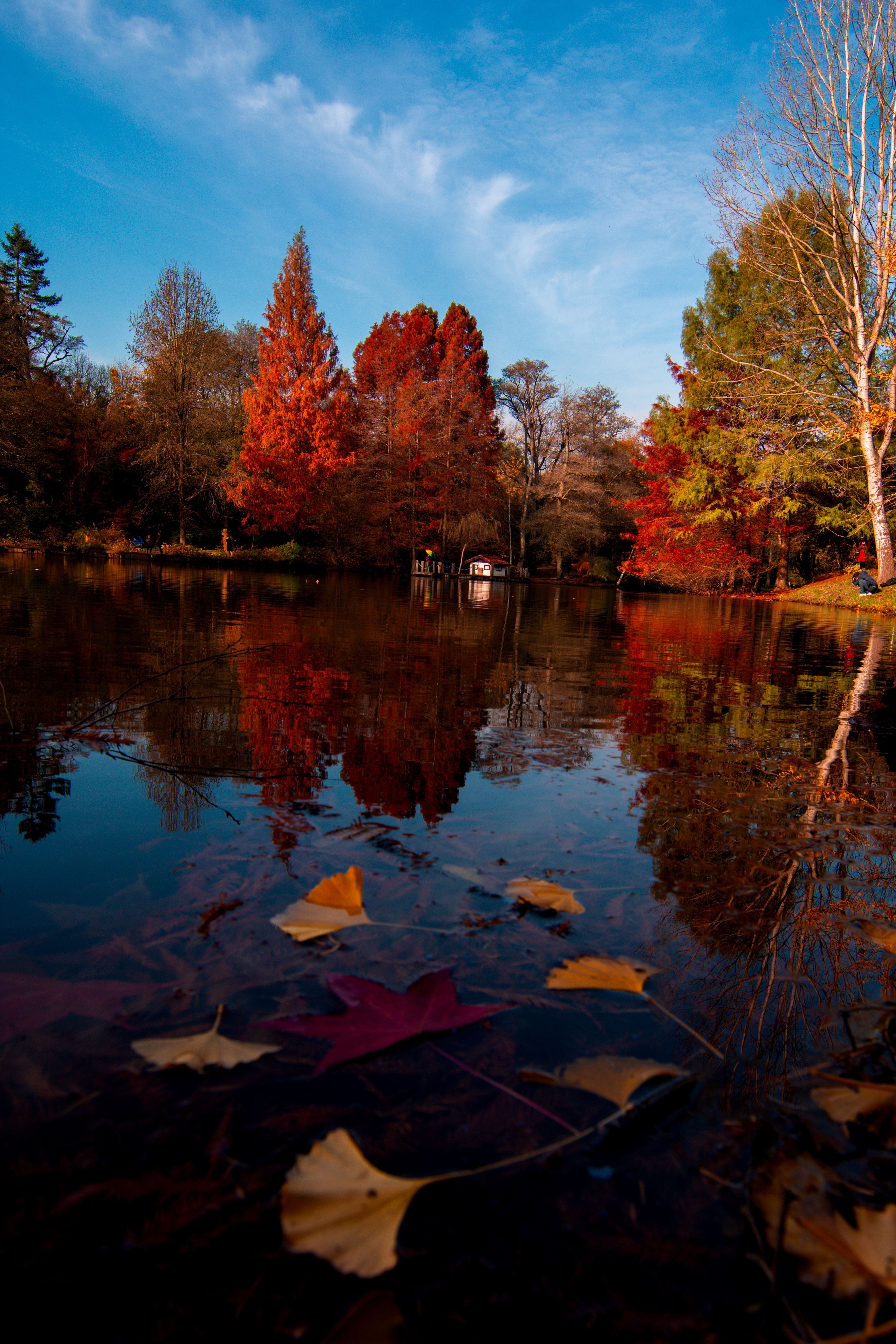 Serene Autumn Lake with Vibrant Foliage Reflections · Free Stock Photo