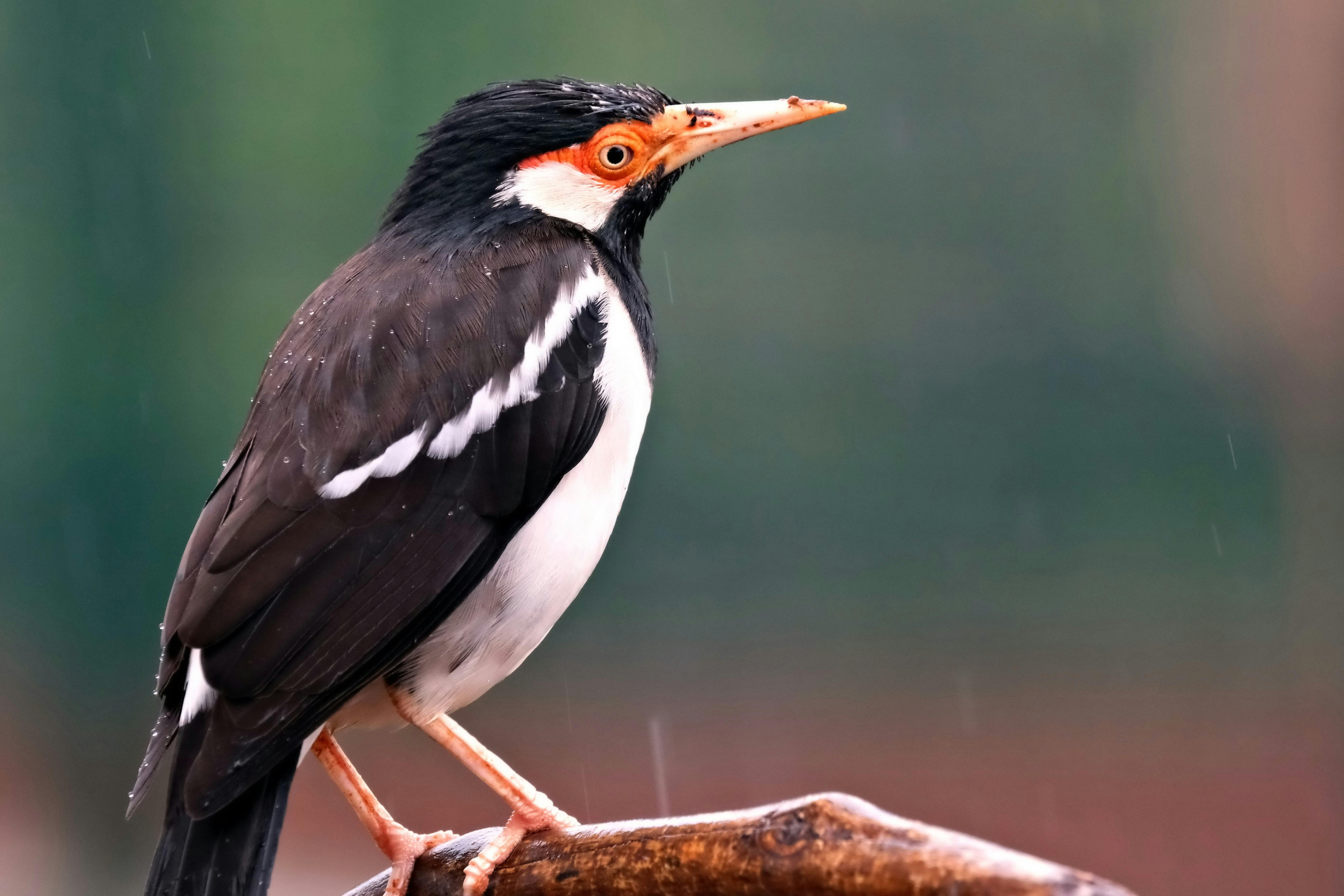 生活：認識他的兒子與女兒：好萊塢明星家庭揭秘