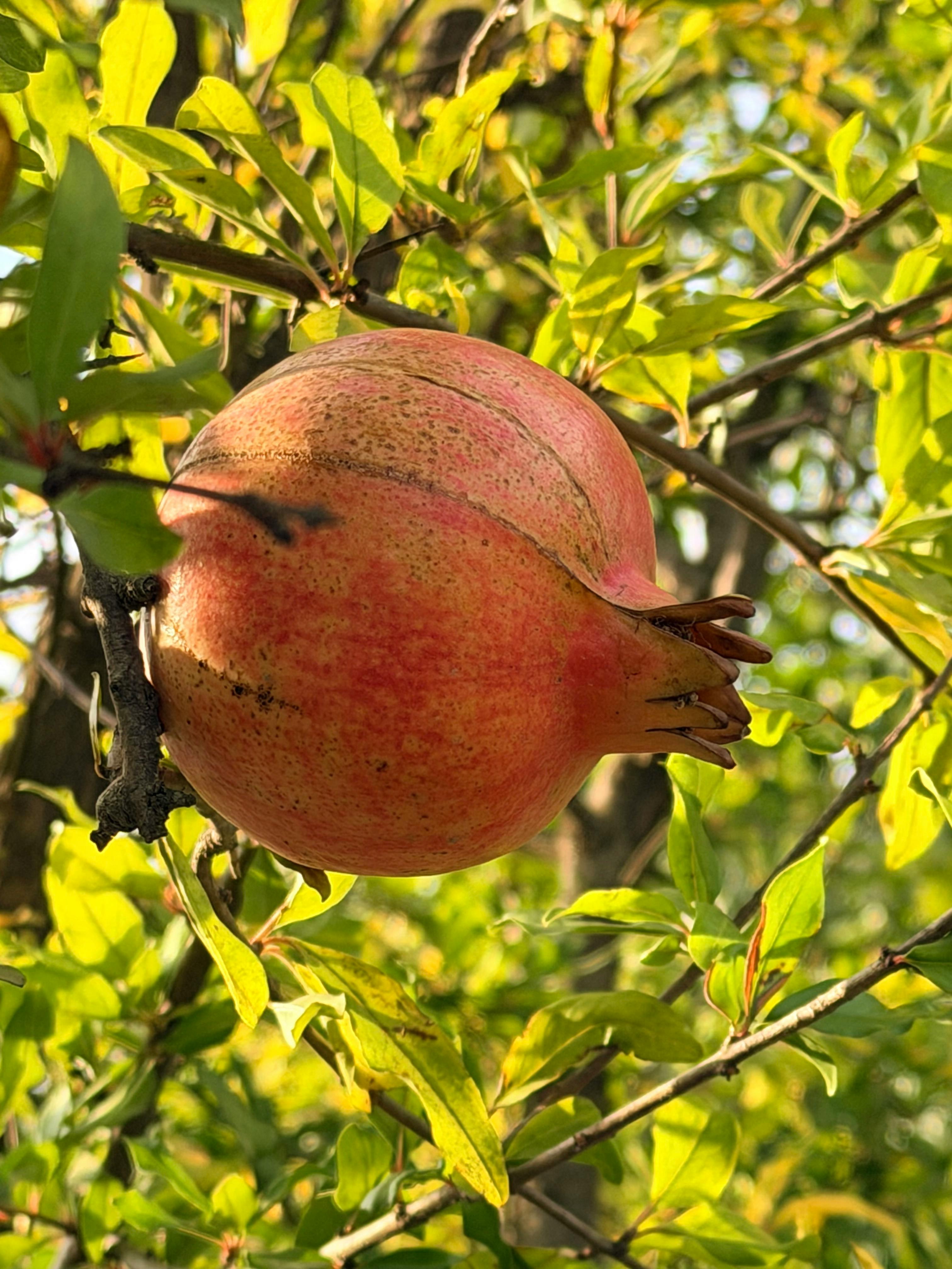 Bakırköy Piyasa Tahminleri: 2024 İçin Beklentiler ve Stratejiler