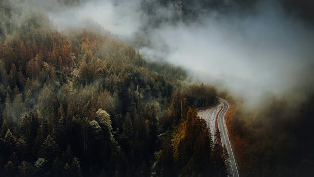 A winding road through a foggy forest in the Austrian Alps during autumn, creating a moody atmosphere.