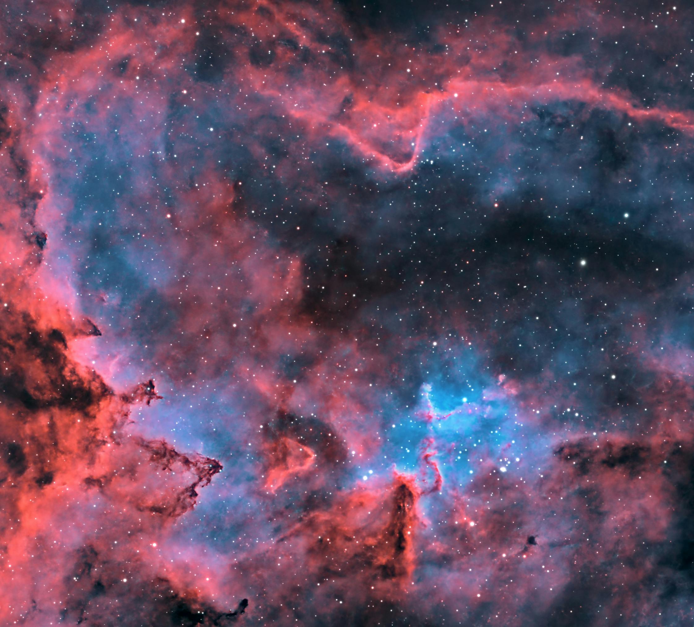 裝了心臟支架還會再堵？醫師教你有效生活防護術