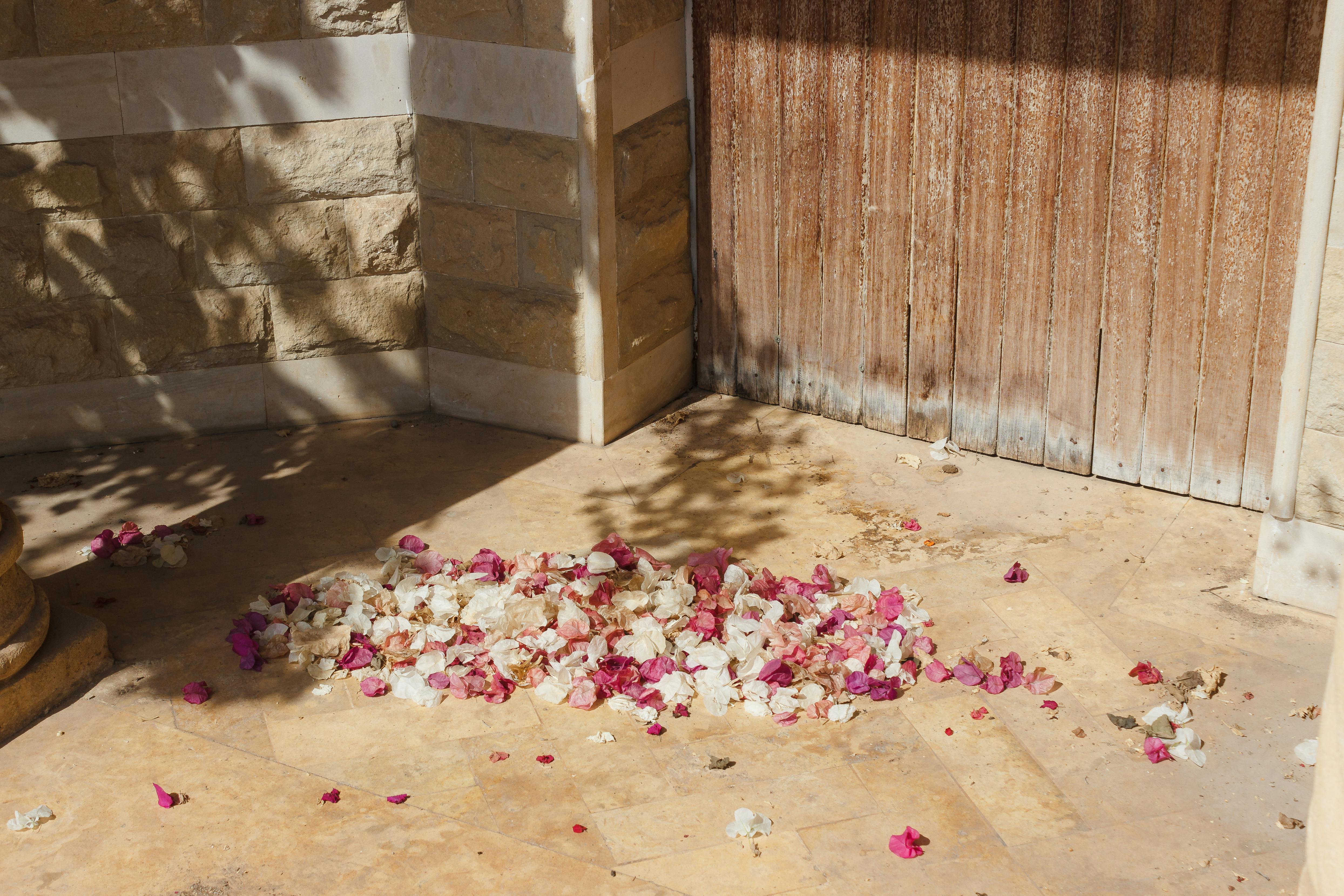 יצירת פינות רומנטיות בגינה מוריקה: הדרך לאווירה יוצאת דופן