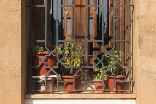 A window with potted plants and a decorative metal grate under sunlight.