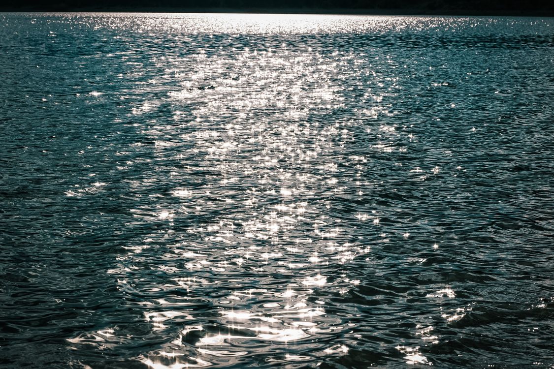 Sunlight Reflecting on Tranquil Water Surface · Free Stock Photo