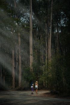 Two women walking along a tranquil forest trail under tall trees, embracing nature's peace.