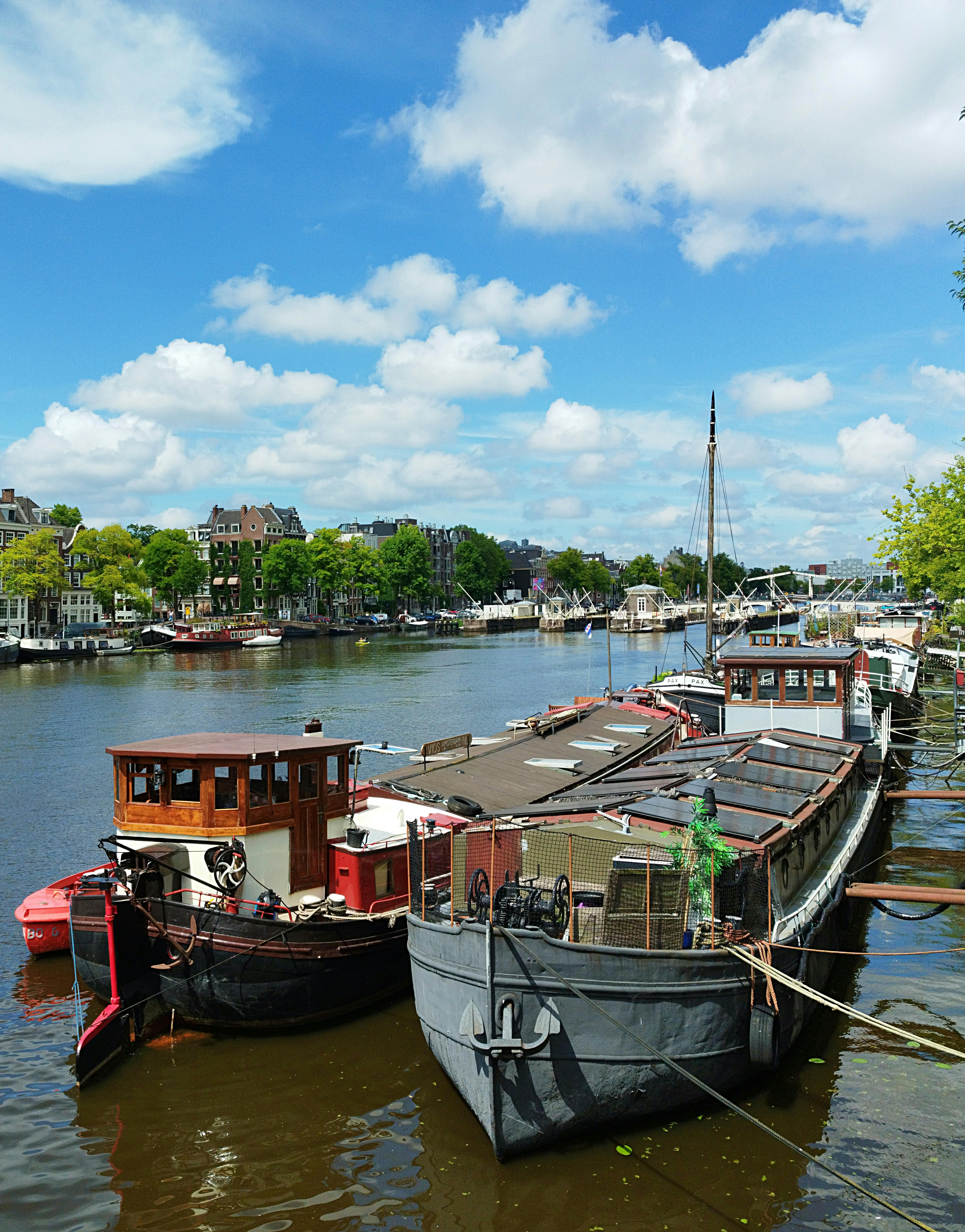 Dutch