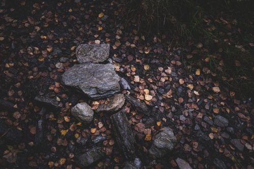 Free Rustic autumn scene with scattered leaves and rocks in a forest setting. Stock Photo