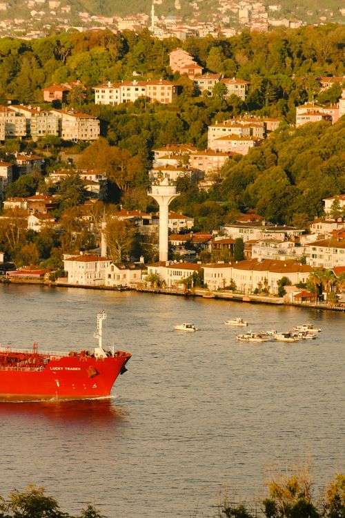 Free Vibrant red cargo ship sailing on the Bosphorus in Istanbul, surrounded by lush hills and homes. Stock Photo