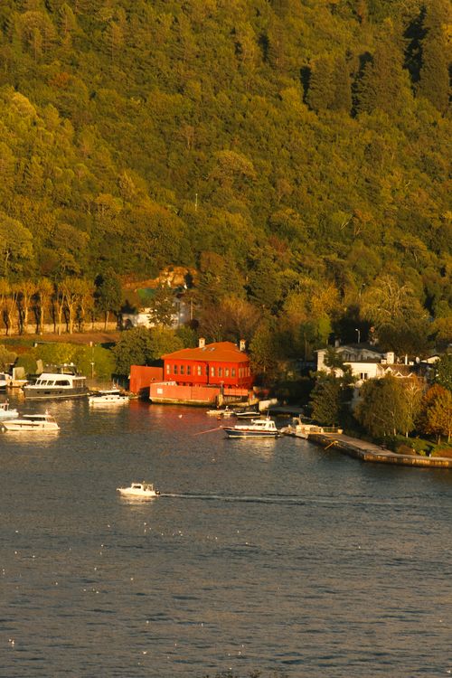 Free Charming harbor scene with boats and a vibrant red building among lush greenery. Stock Photo
