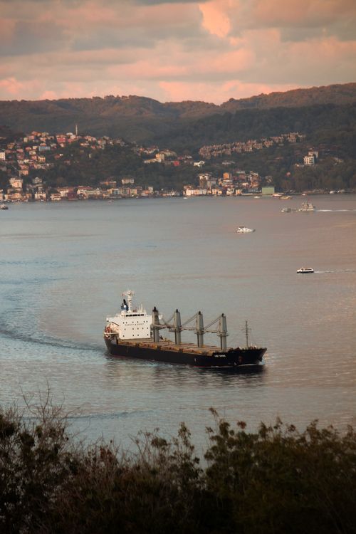 Free A cargo ship sails near a coastal town with hills in the background at sunset. Stock Photo