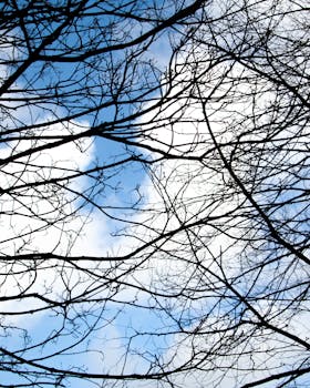 Image by Emiliano LG