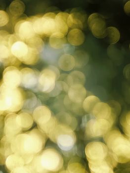 Abstract golden bokeh lights creating a warm, festive atmosphere perfect for celebrations like Diwali.