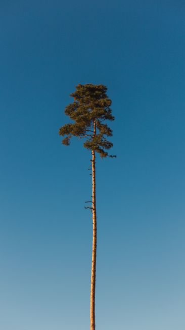 How tall are you?