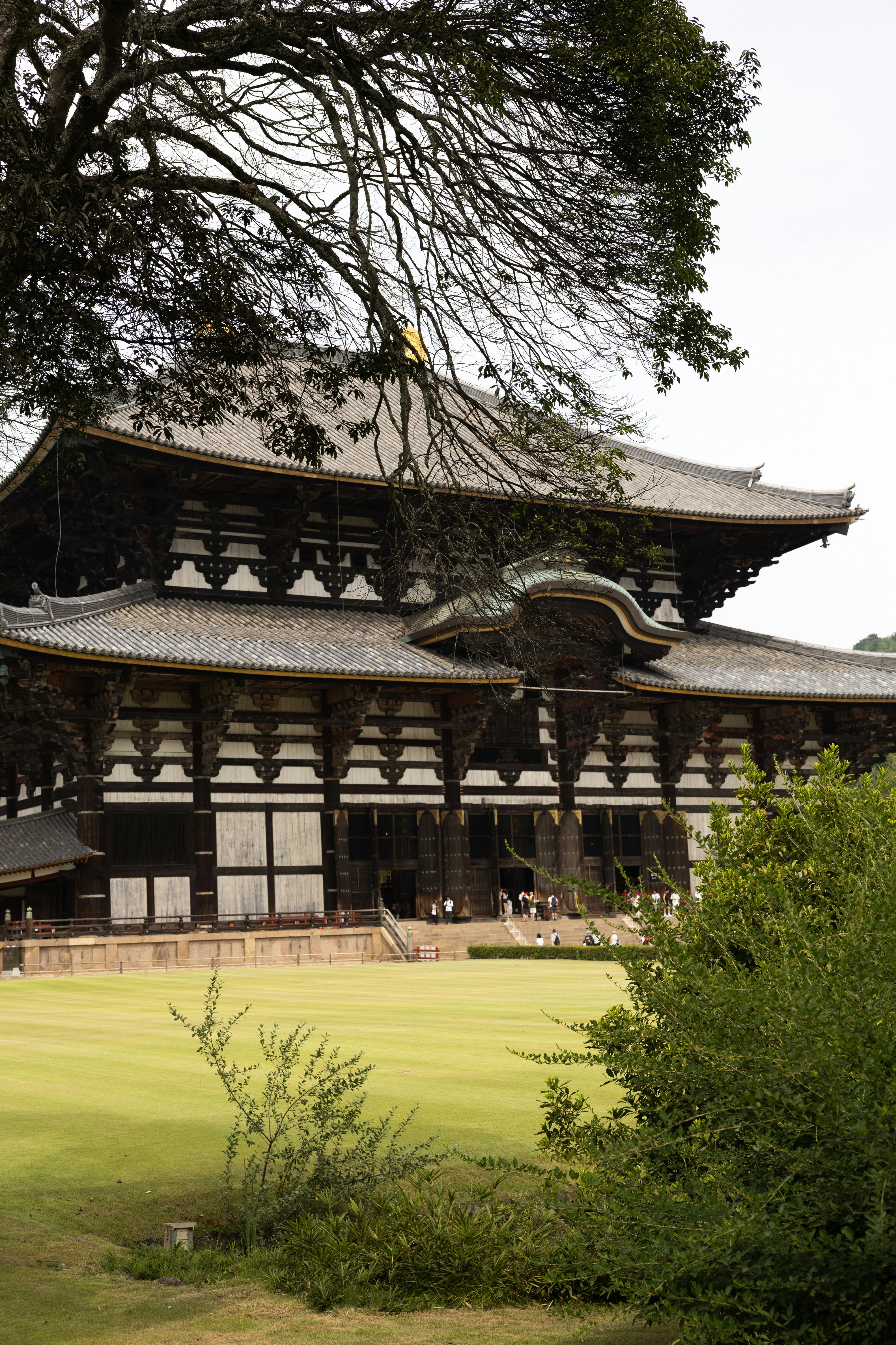 Stunning exterior of Todai-ji Temple in Nara, showcasing traditional Japanese architecture.