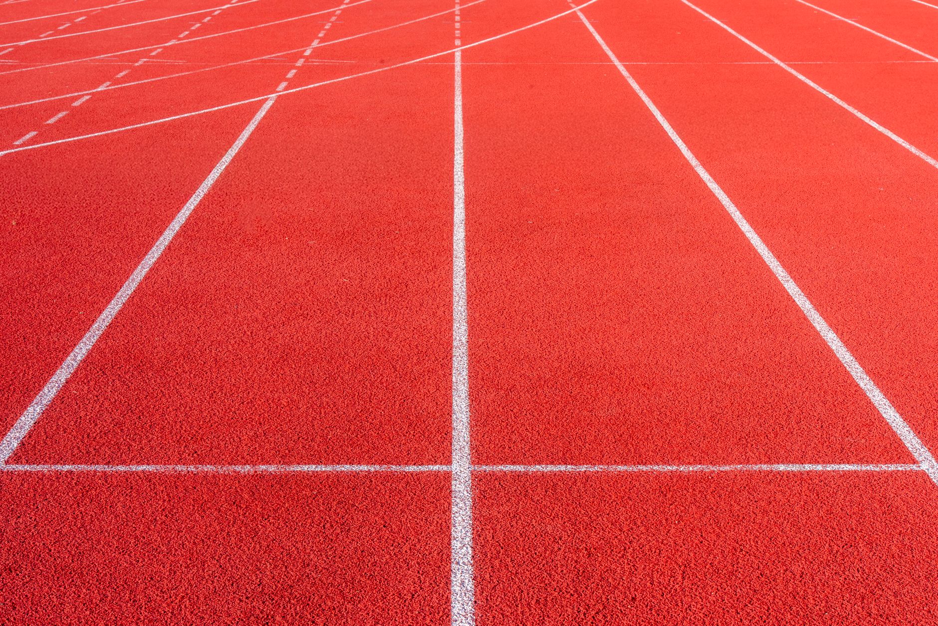 Budapeşte'deki Ultimate Championship'te 1500 metre yarışı öncesi atletizm pisti