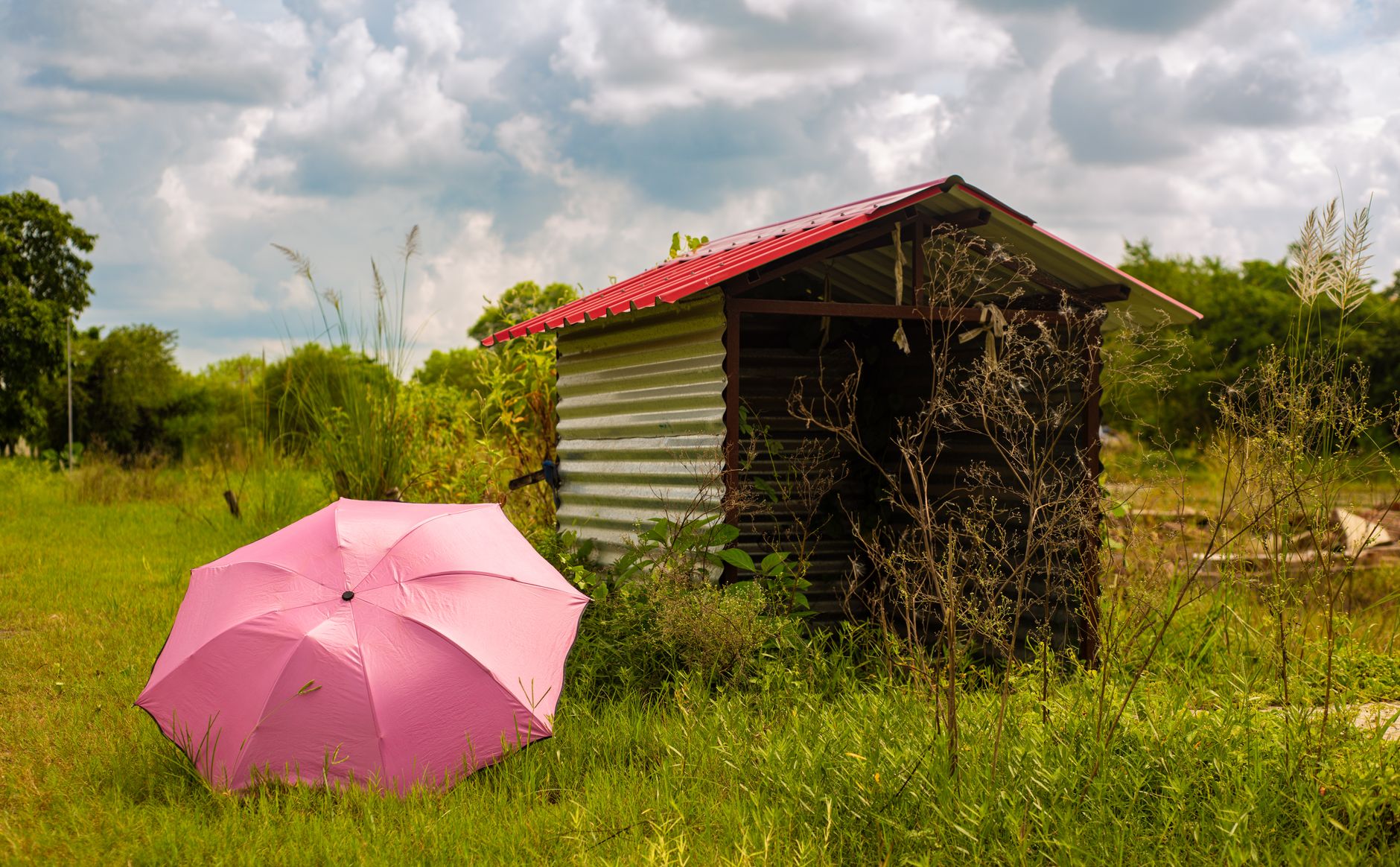 A bright pink umbrella resting next to a small rustic shed in a verdant field under a cloudy sky.