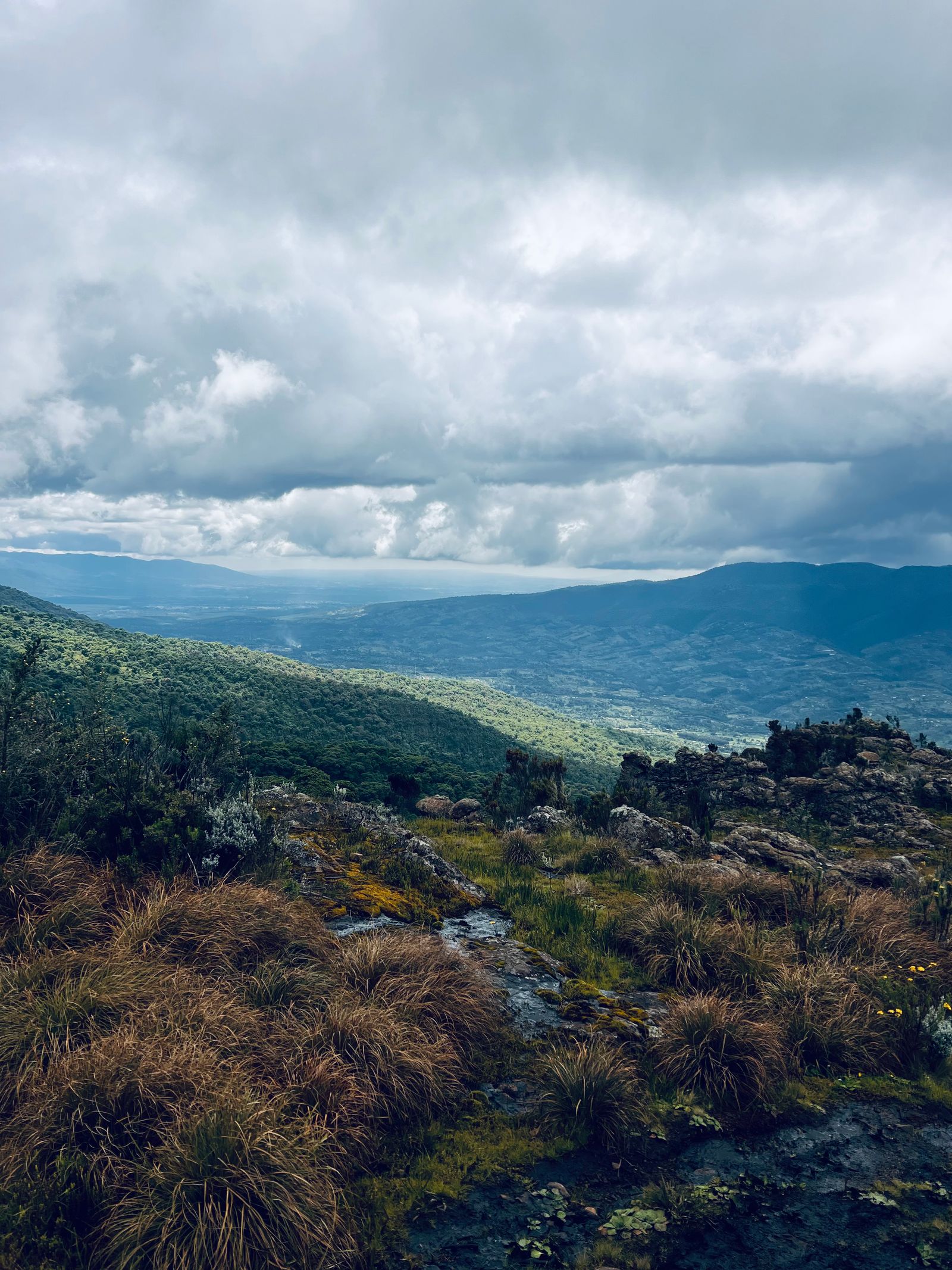 Originea — Kenya - Kaliluni (Spălare)