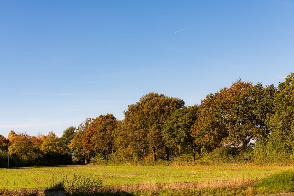 Sunny Autumn Landscape with Colorful Trees · Free Stock Photo