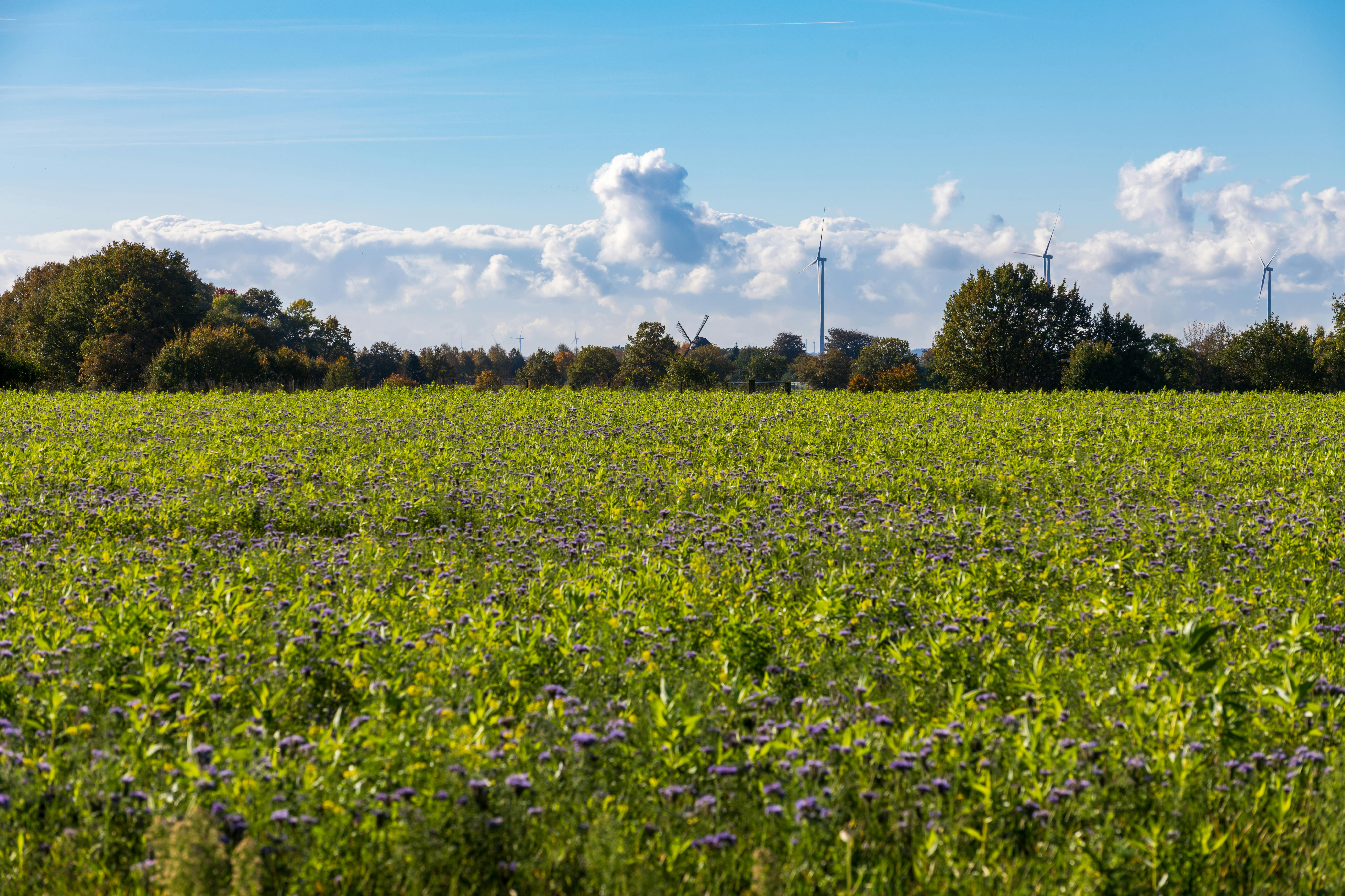 Sustainable Growth Tips for Ambitious Entrepreneurs: Goals and Strategies