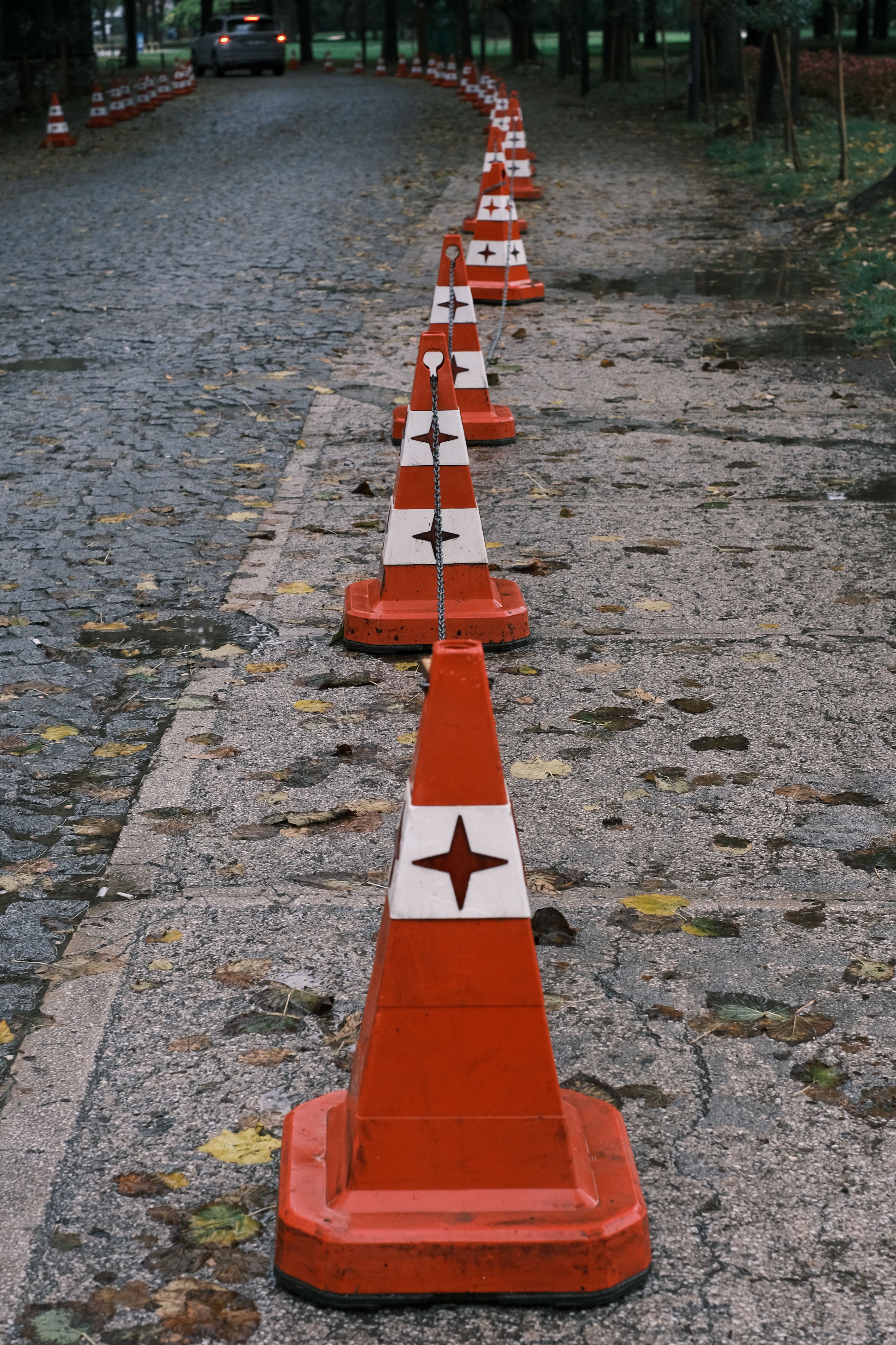 A line of red and white traffic cones on a cobblestone pathway in a park setting.