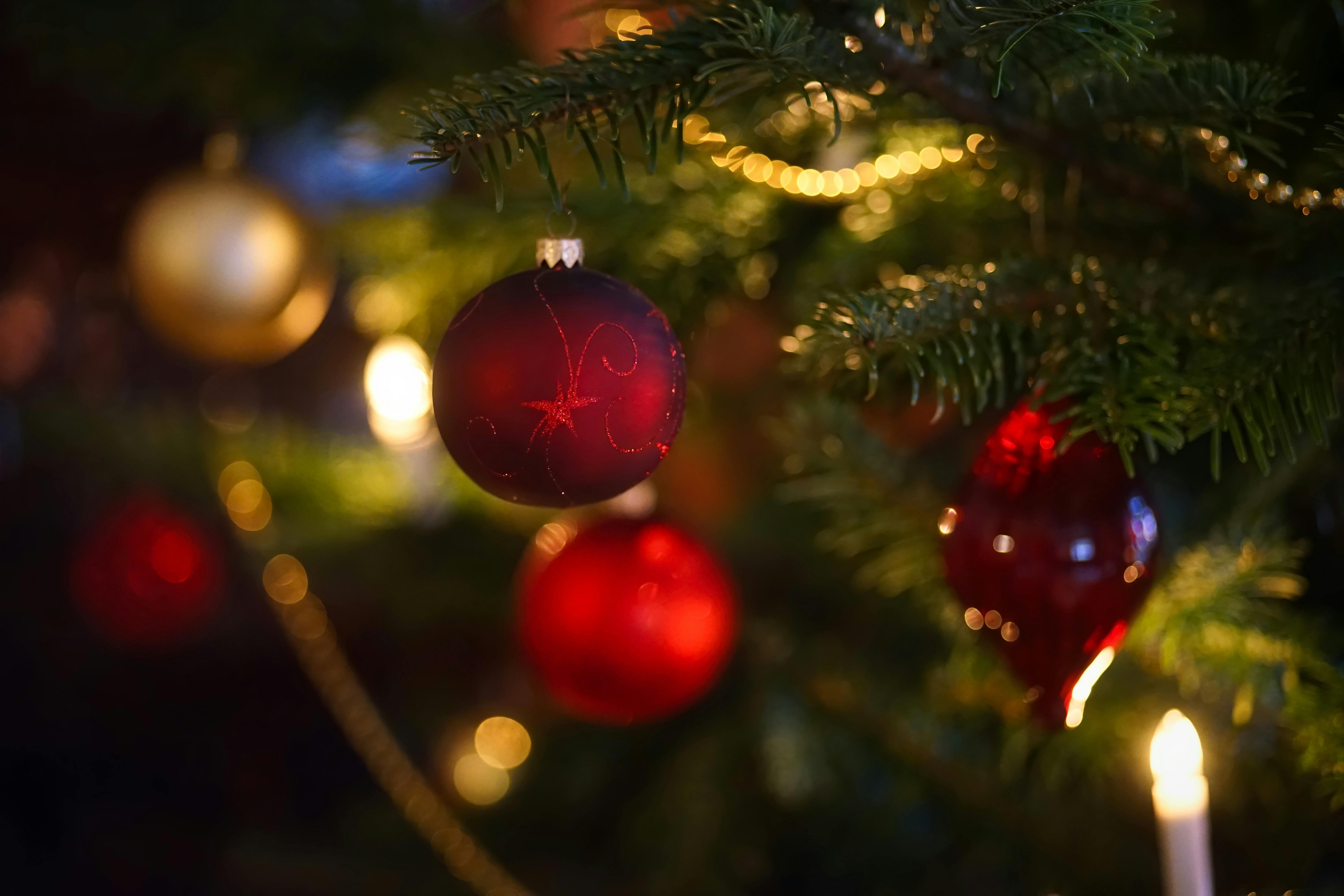 Green Christmas Tree With Red Bows · Free Stock Photo