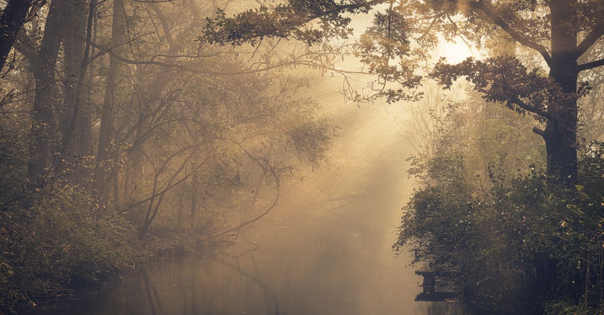 How to Build Unshakable Faith in Hard Seasons