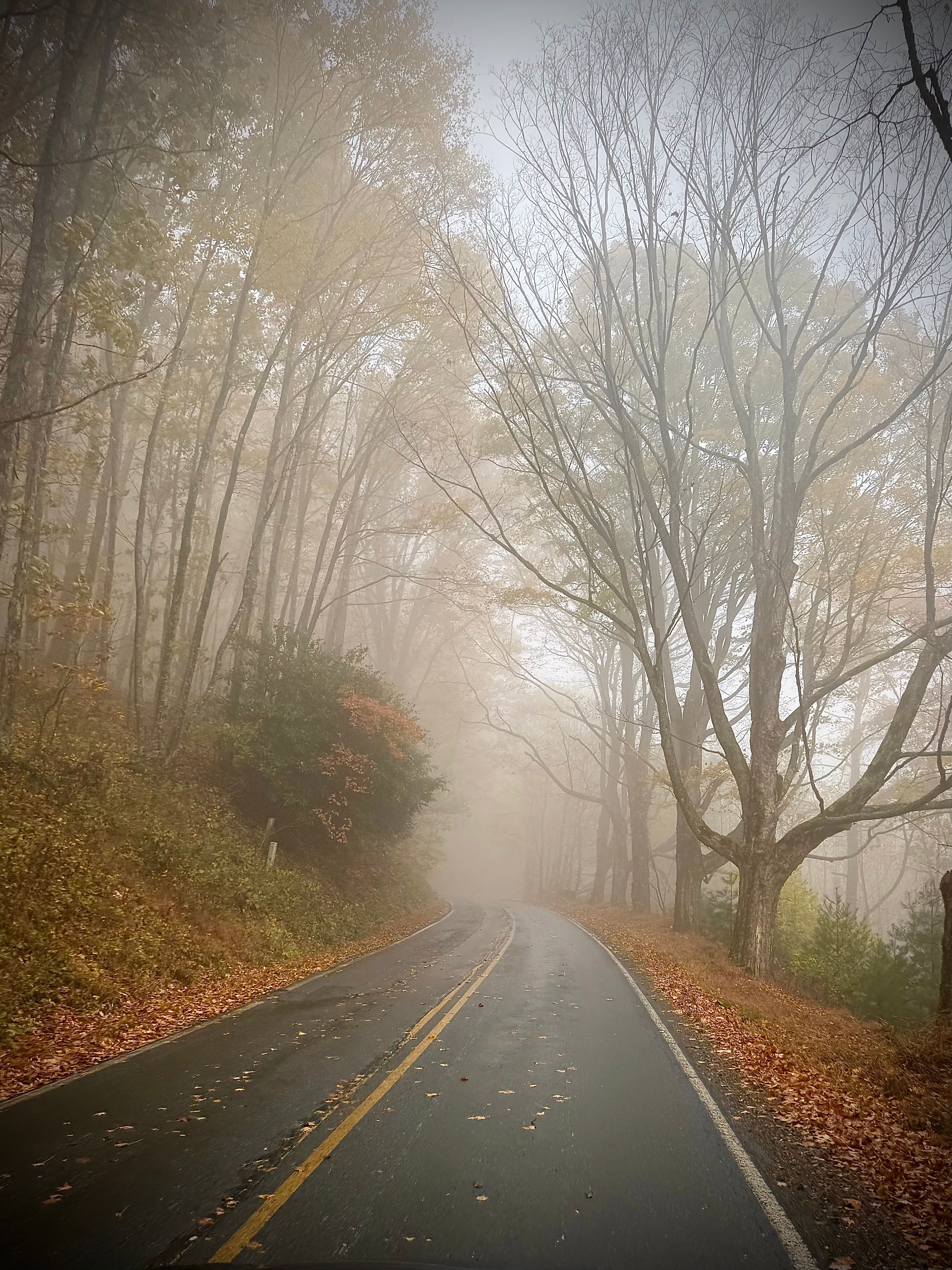 Foggy Autumn Road in Boone, North Carolina · Free Stock Photo