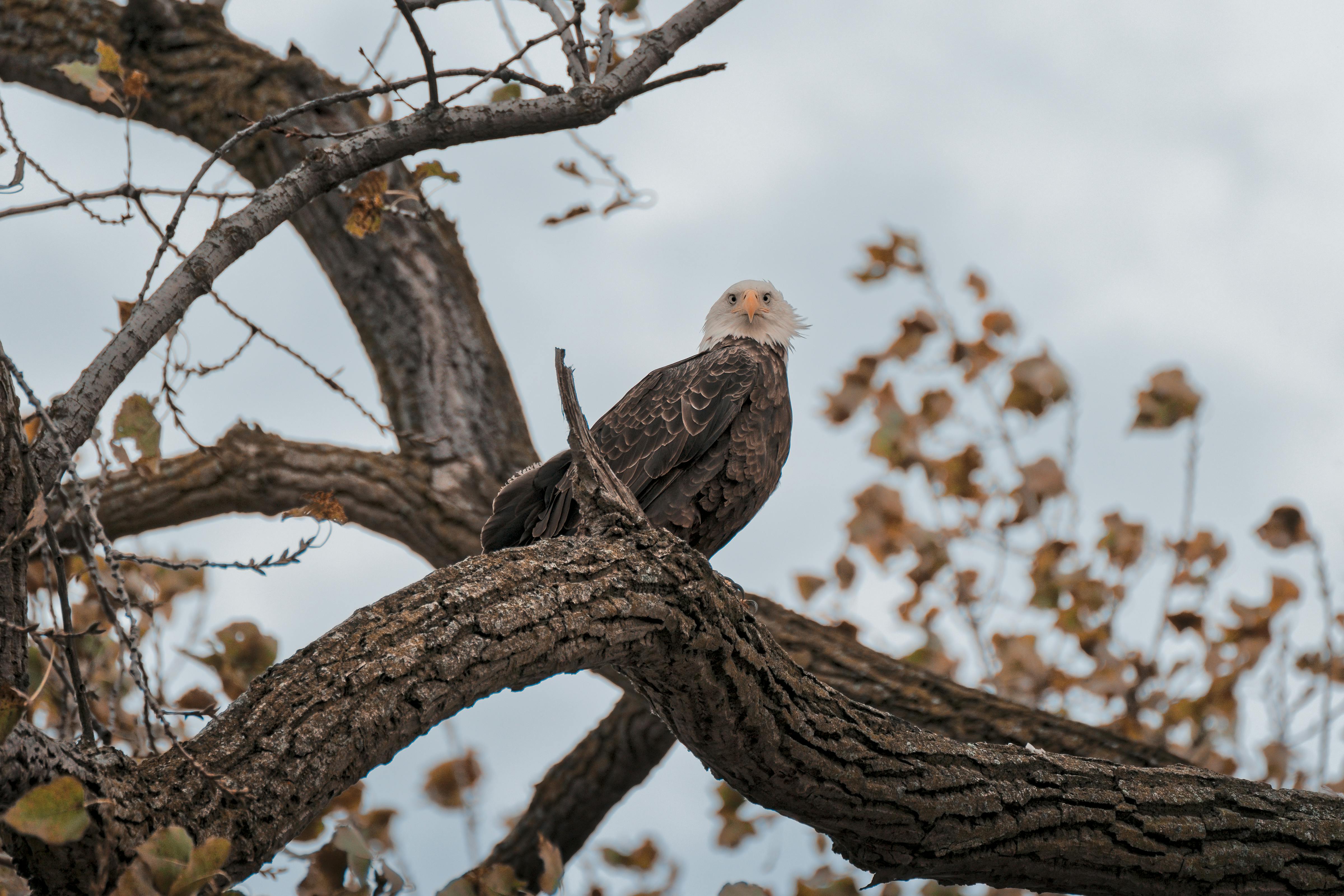 Havasu National Wildlife Refuge