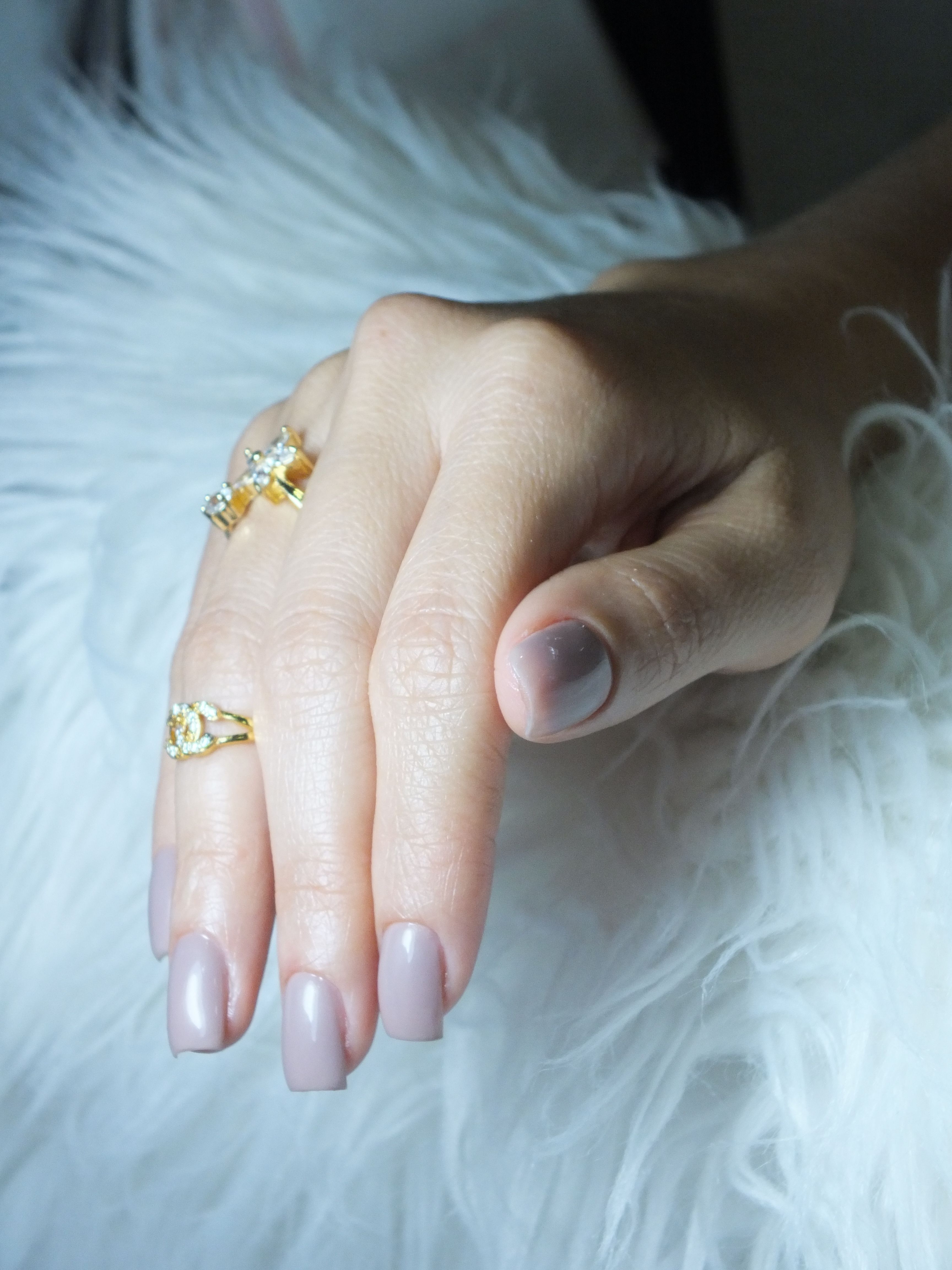 Elegant Manicured Hand with Gold Rings · Free Stock Photo