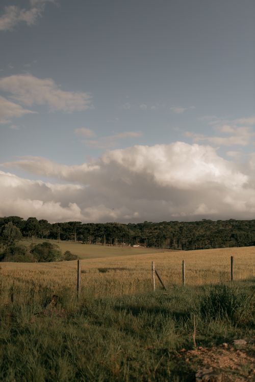 Free Peaceful rural scene with open field and dramatic sky, perfect for background or nature themes. Stock Photo