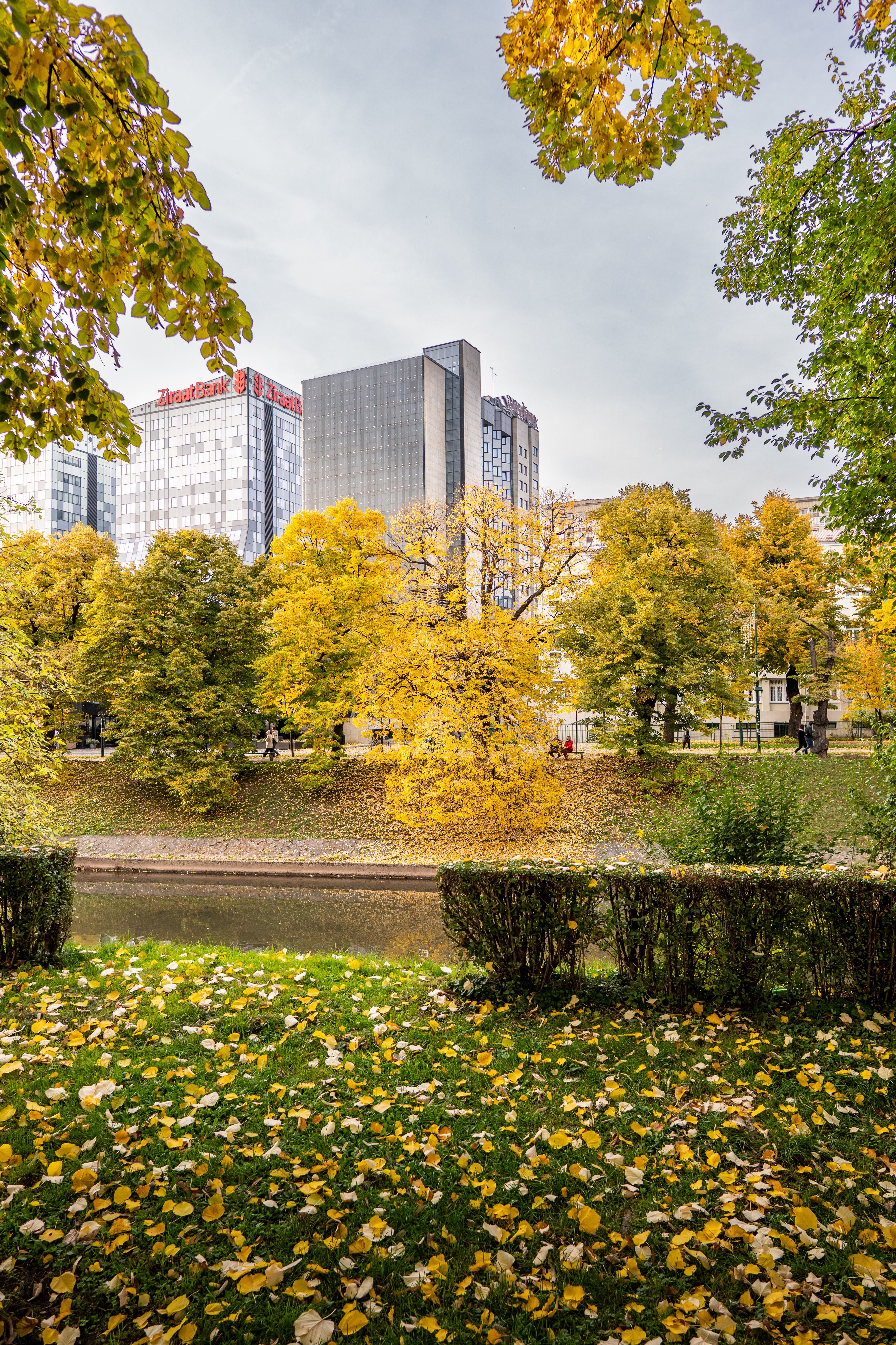 Autumn Cityscape with Modern Buildings and Trees · Free Stock Photo