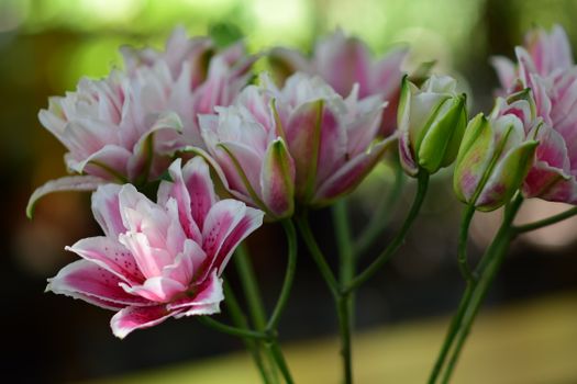 lily bouquet delivery Peru