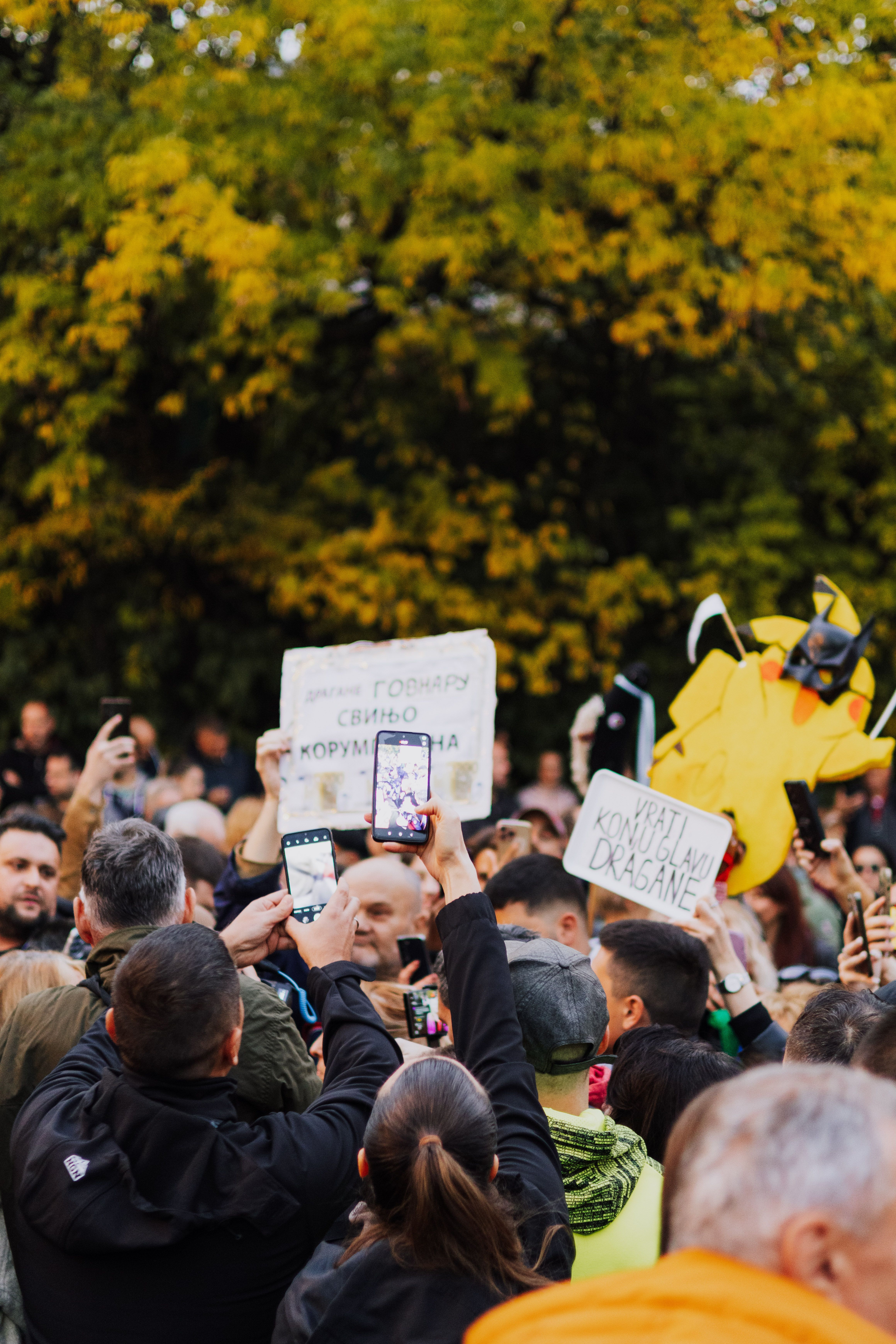 Protest Crowd in Belgrade Amidst Autumn Foliage · Free Stock Photo