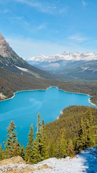 Peyto Lake in Banff National Park offers a breathtaking view of crystal blue waters and surrounding mountains.
