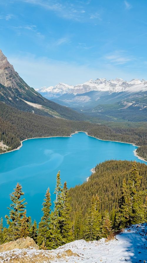 Free Peyto Lake in Banff National Park offers a breathtaking view of crystal blue waters and surrounding mountains. Stock Photo